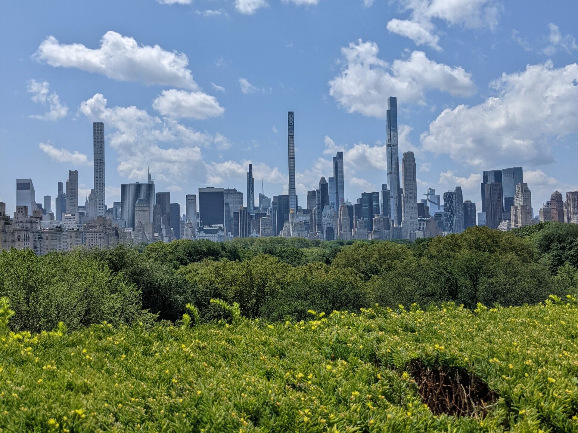 view of manhattan skyline over central park in the summer