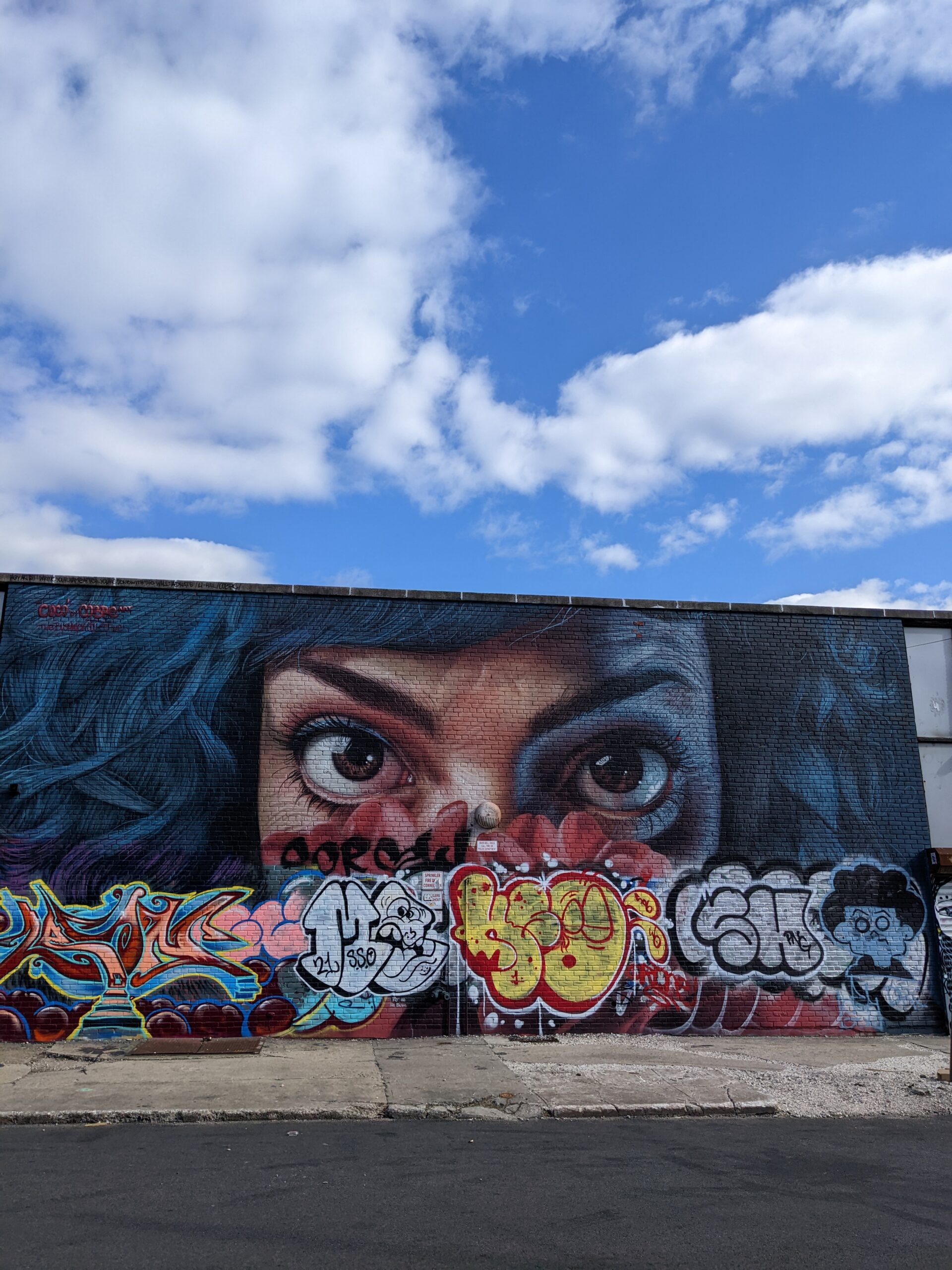 a mural of a woman's face on a 1 story building, the lower part of it is overpainted with tags