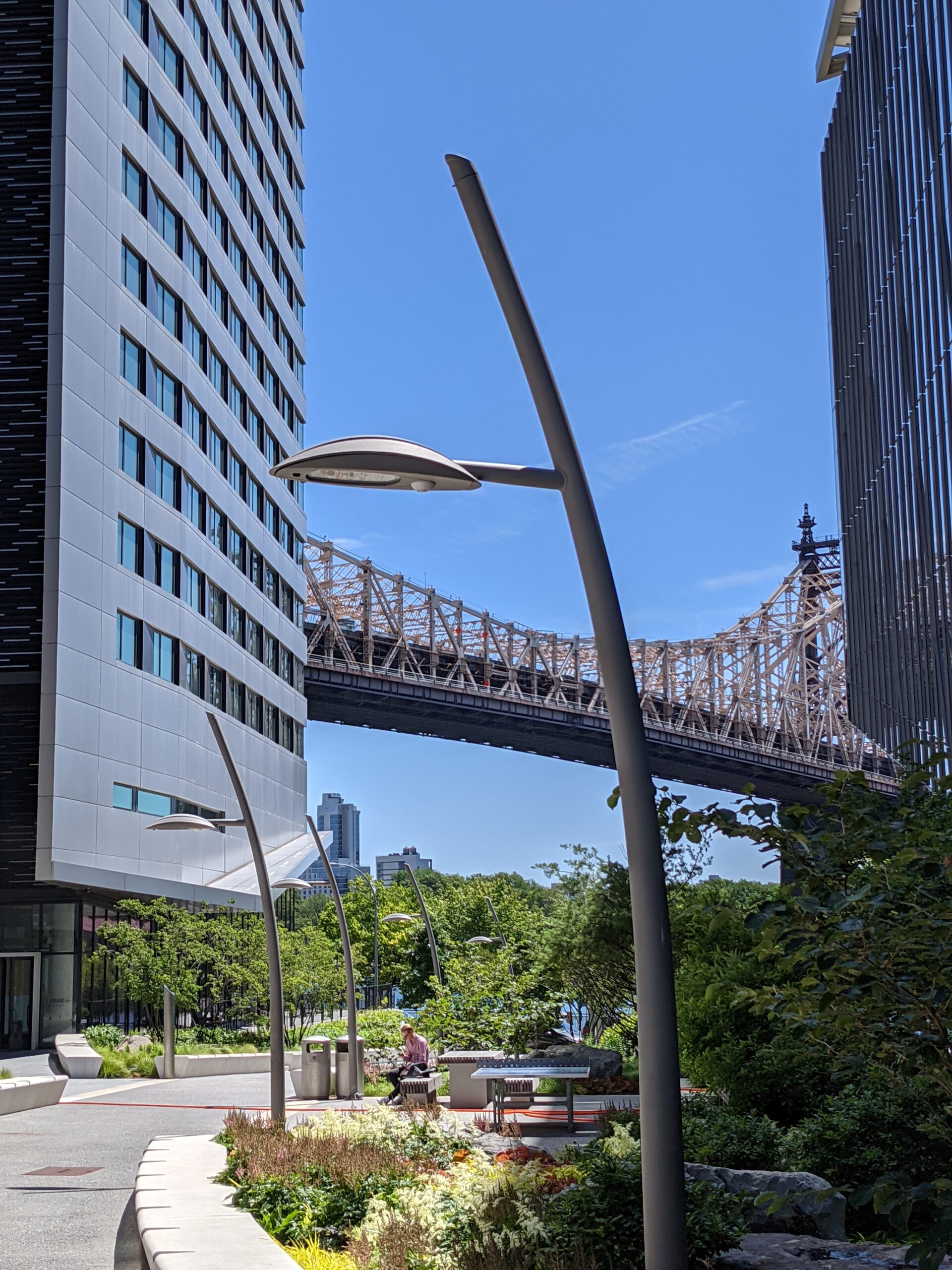 a lamppost, modern buildings and queensboro bridge visible between them