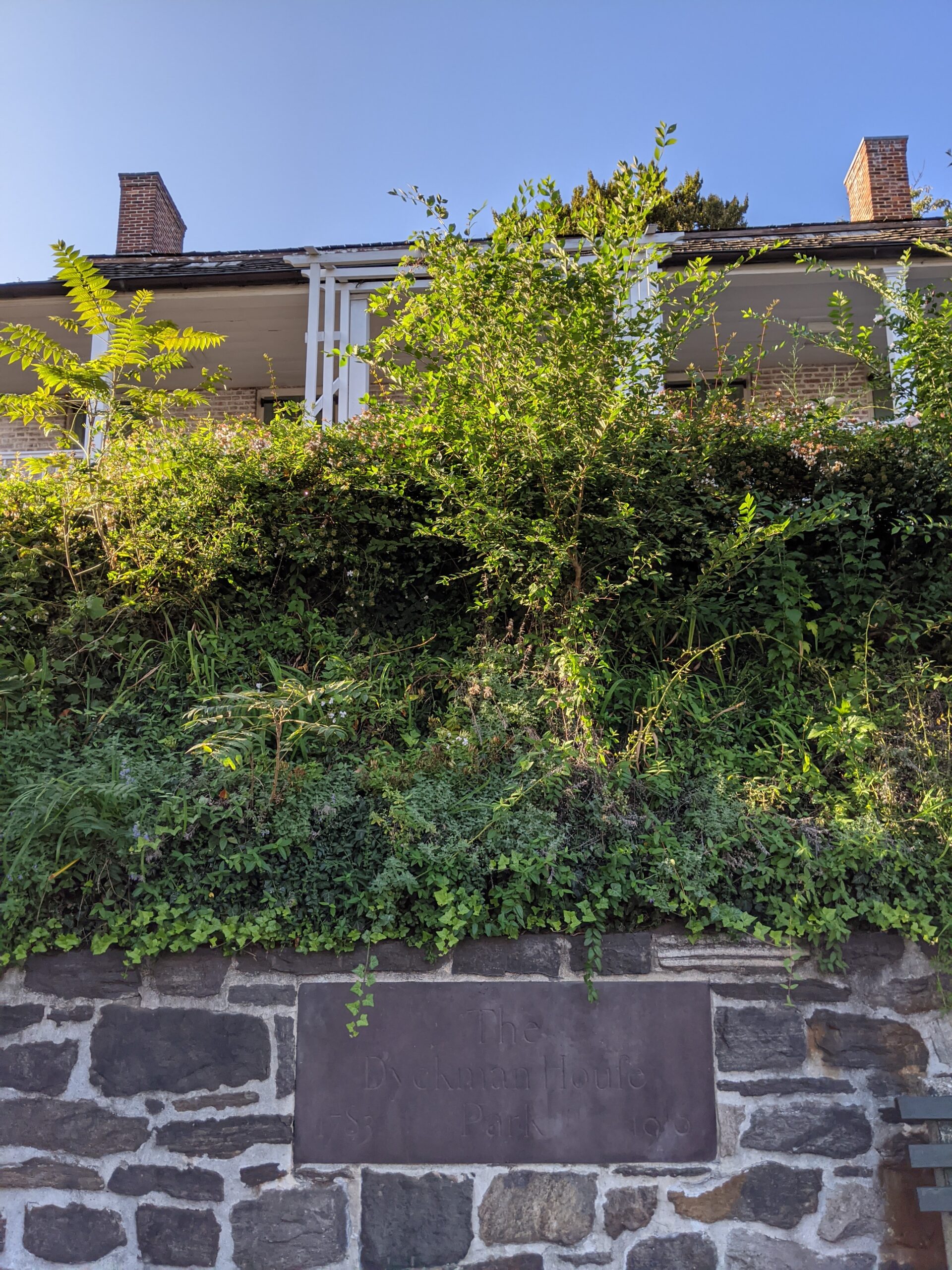 a wall, above it - shrubbery, above it - old house