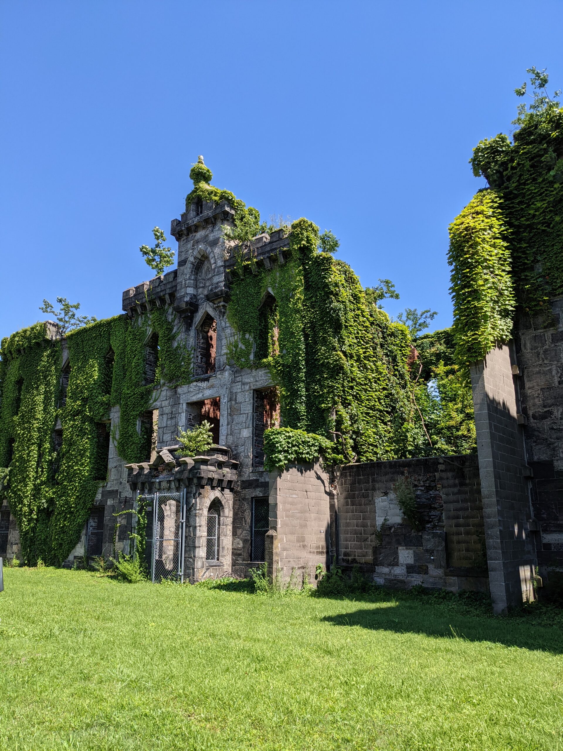 ruins with green vines