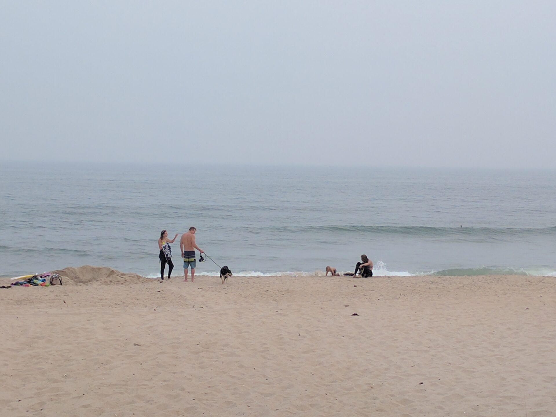 surfers on a foggy beach